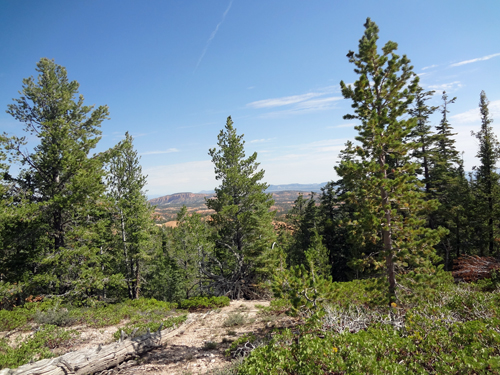 scenery while on the ATV Ride